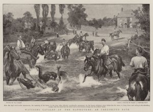 Abreuvement de la cavalerie aux manœuvres, un bain inattendu - Walter Stanley Paget